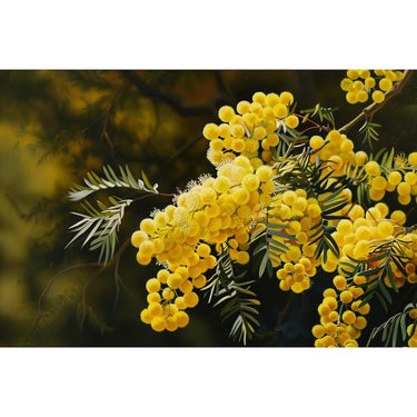 Yellow Flowers Oil Canvas